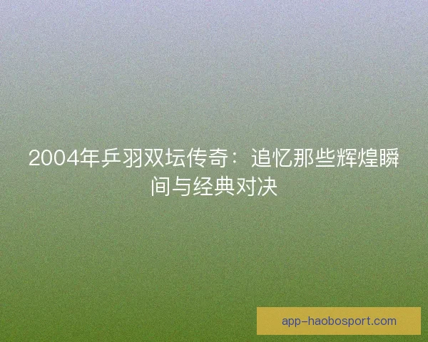 2004年乒羽双坛传奇：追忆那些辉煌瞬间与经典对决