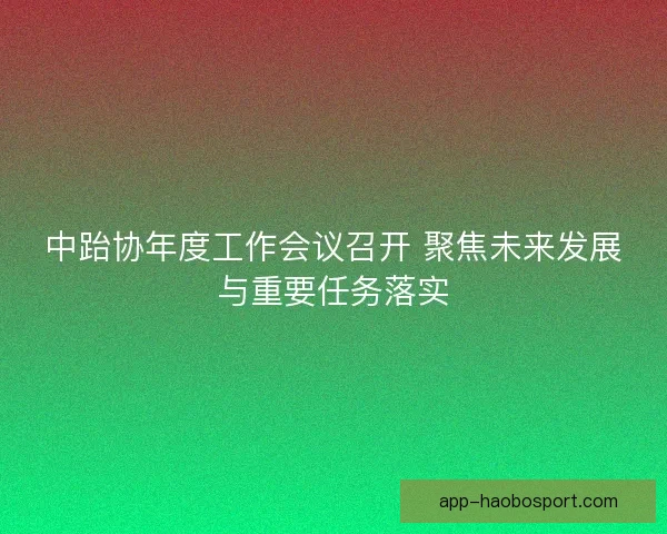 中跆协年度工作会议召开 聚焦未来发展与重要任务落实